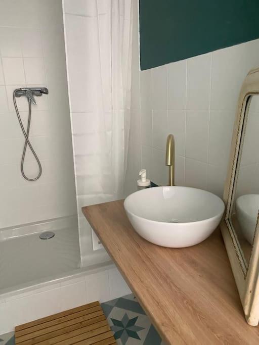 Chez Salome & Theo ! Apartman Saint-Jean-d'Arvey Kültér fotó